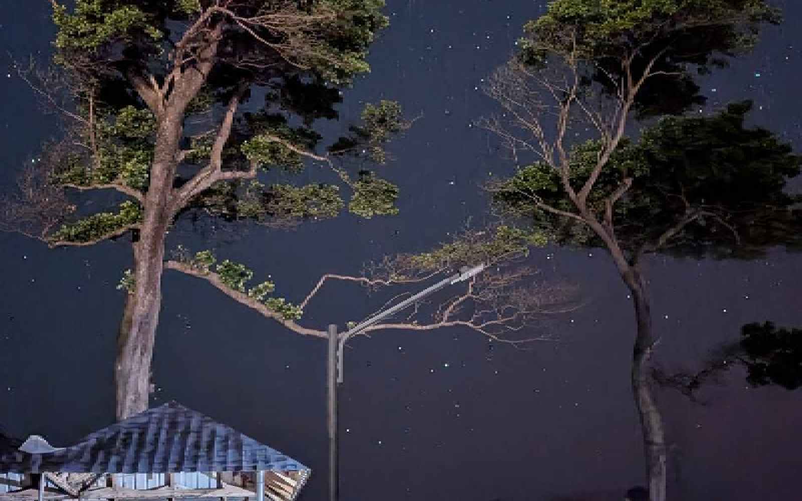 Stargazing in Neil Island: A Magical Beach Experience at Pearl Park Beach Resort & SPA
